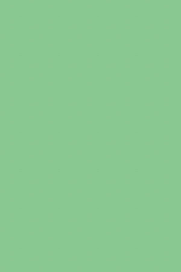 Gras Groen | Sneaker Veters
