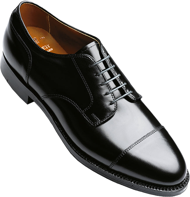 Alden 2161 Straight Tip Blucher